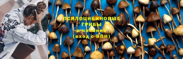прущая мука Володарск
